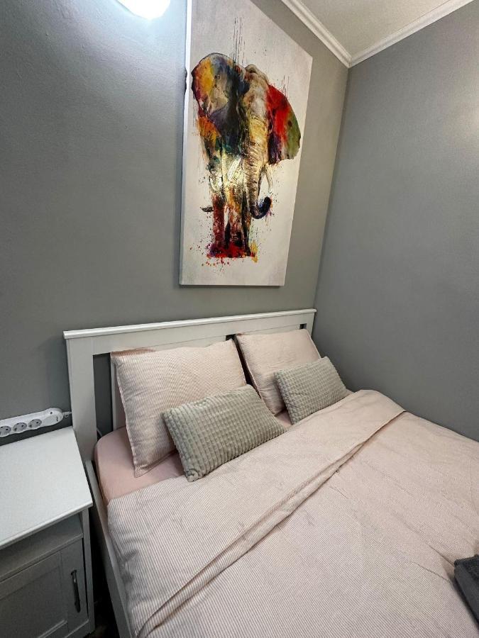 One Room Apartment Decebal 부쿠레슈티 외부 사진
