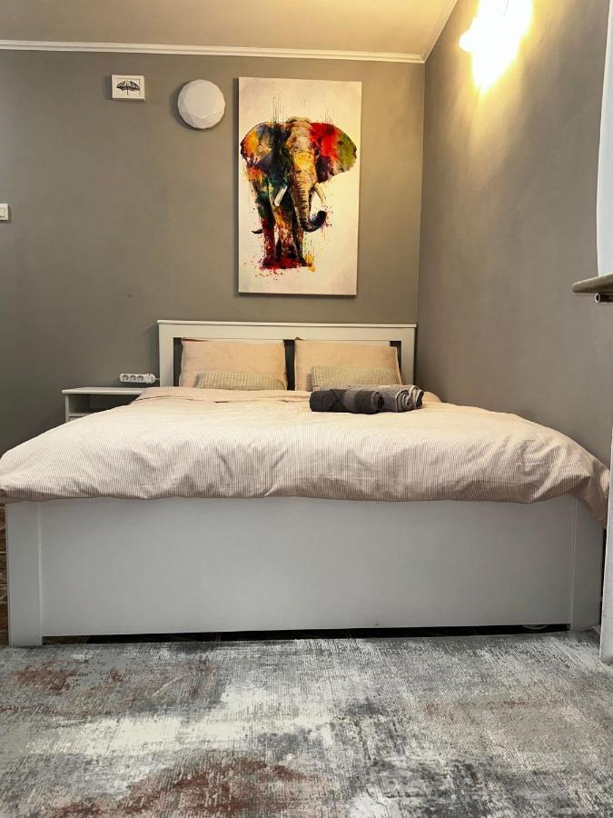 One Room Apartment Decebal 부쿠레슈티 외부 사진